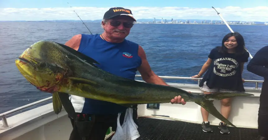 Mahi Mahi Fishing Gold Coast