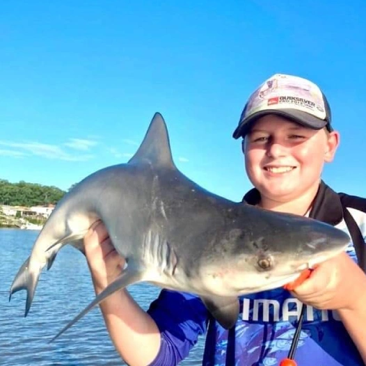 Kid holding bullshark