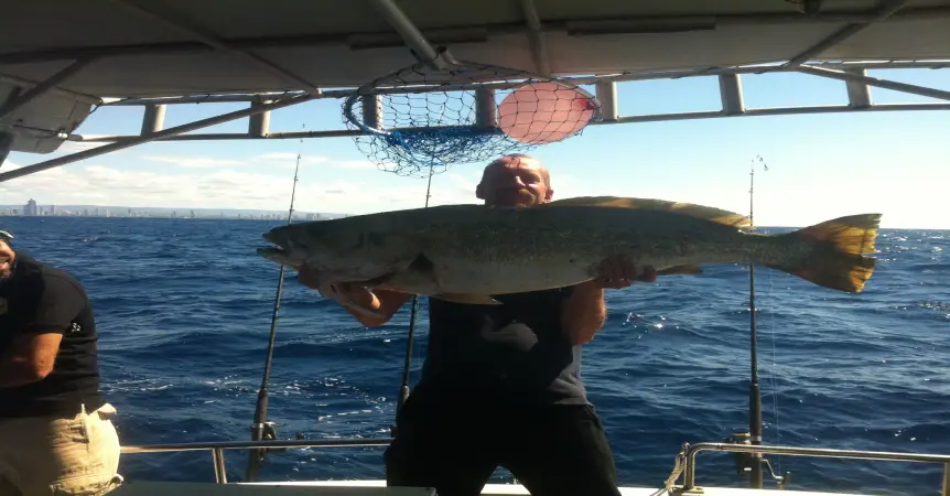Mulloway Fishing Gold Coast