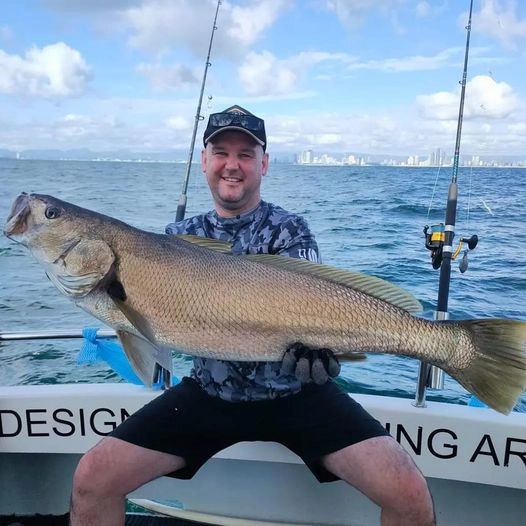 mulloway fishing gold coast