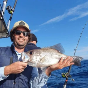 Pearl Perch – Delectable Bottom Dwellers