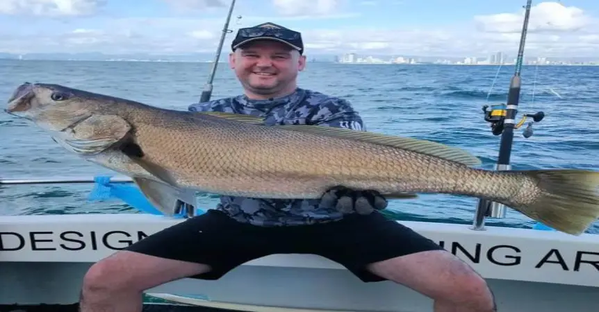 Reef and Game Fishing Charters Gold Coast, All You Need To Know