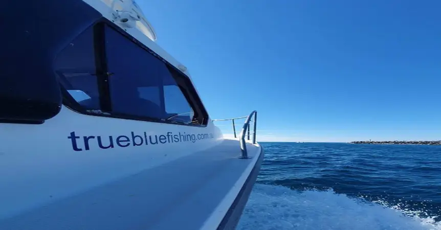 Seas The Moment, Prevent Motion Sickness