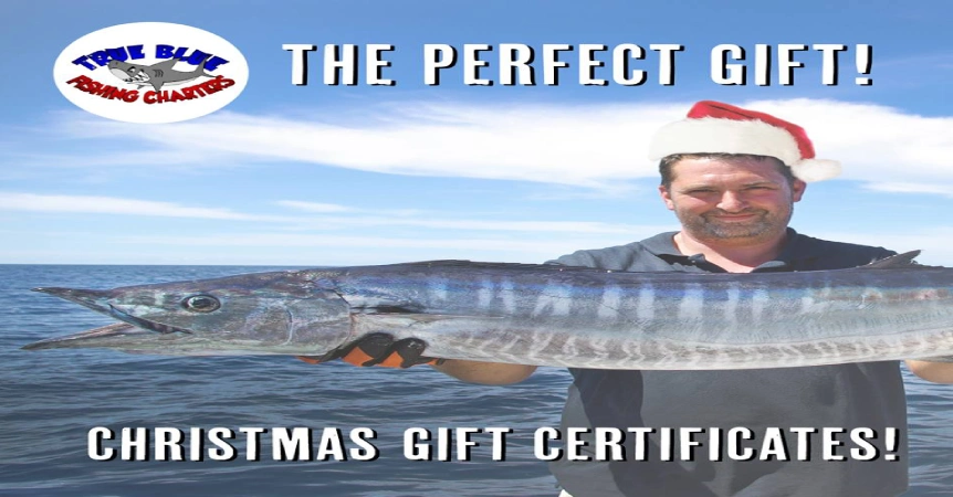 The Perfect Christmas Gift