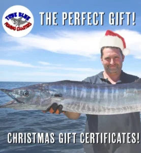 gift certificates