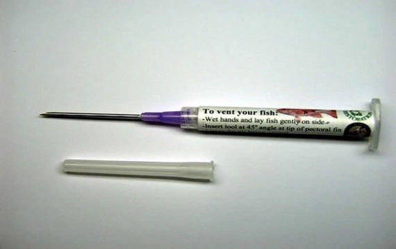 vent fish