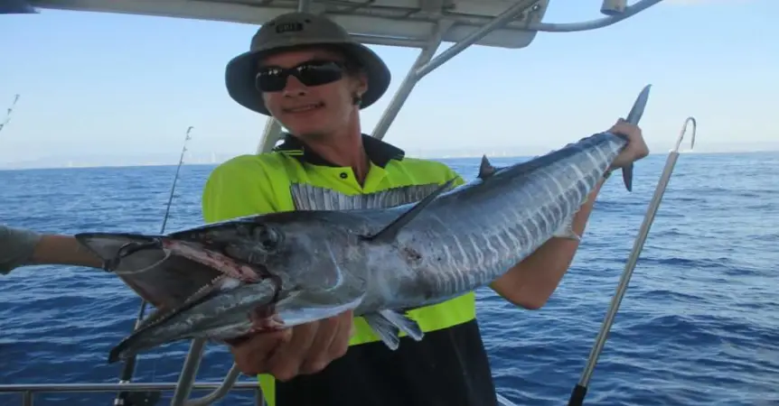 Wahoo fishing charters gold coast