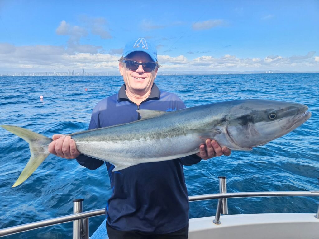 deep sea fishing for kingfish