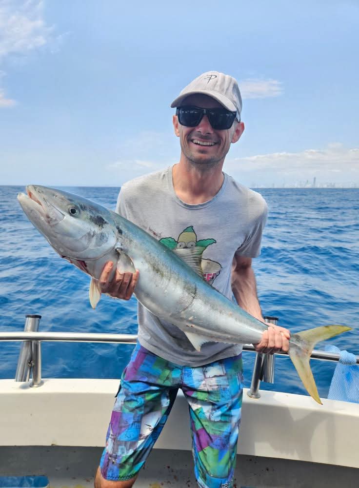 kingfish caught off the gold coast