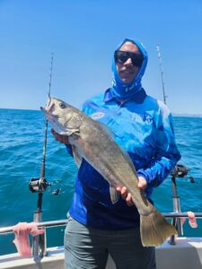 deep sea fishing for mulloway on the gold coast
