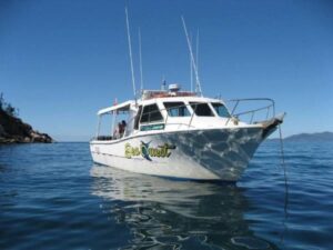 steber 36 pro fish