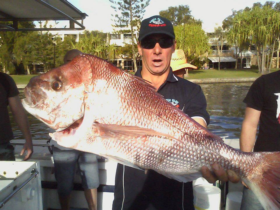winter snapper