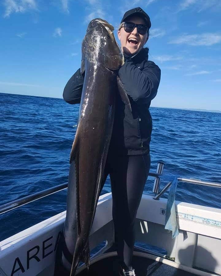 cobia caught on a deep sea fishing charter