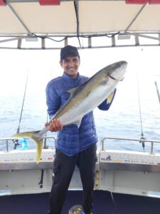 yellowtail kingfish