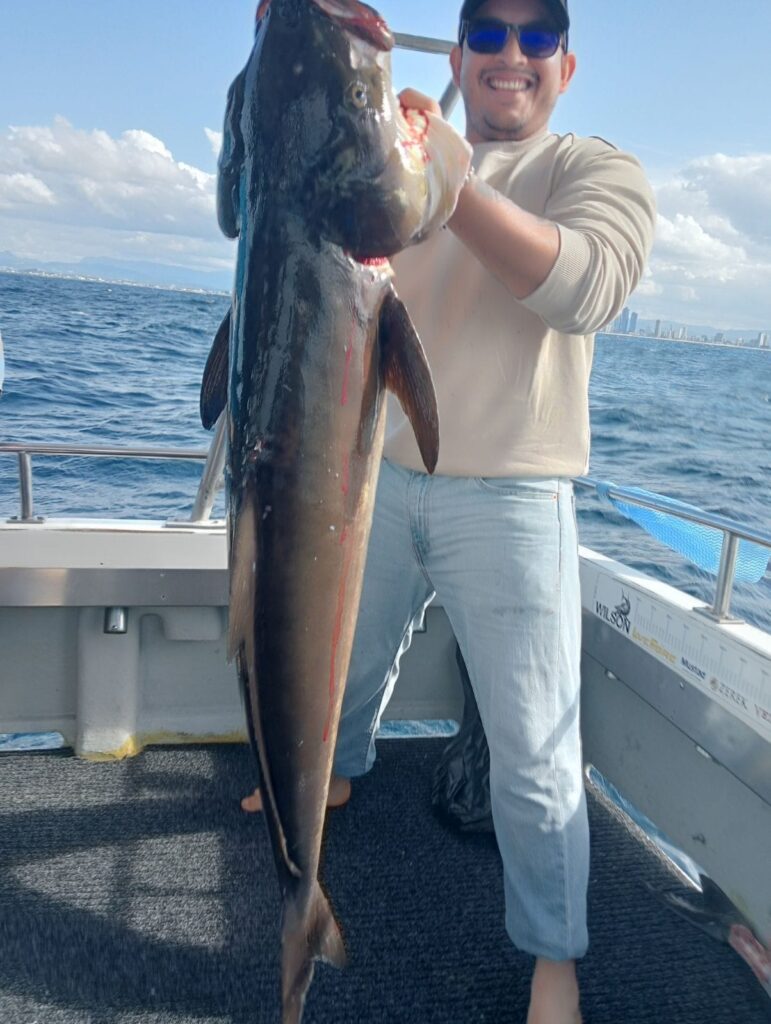 cobia caught on a true blue fishing charter