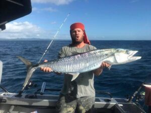 big spanish mackerel