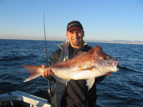 Gold coast Snapper