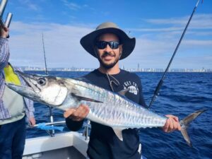 spanish mackerel