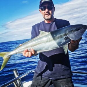 kingfish