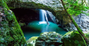 Hinterland gold coast