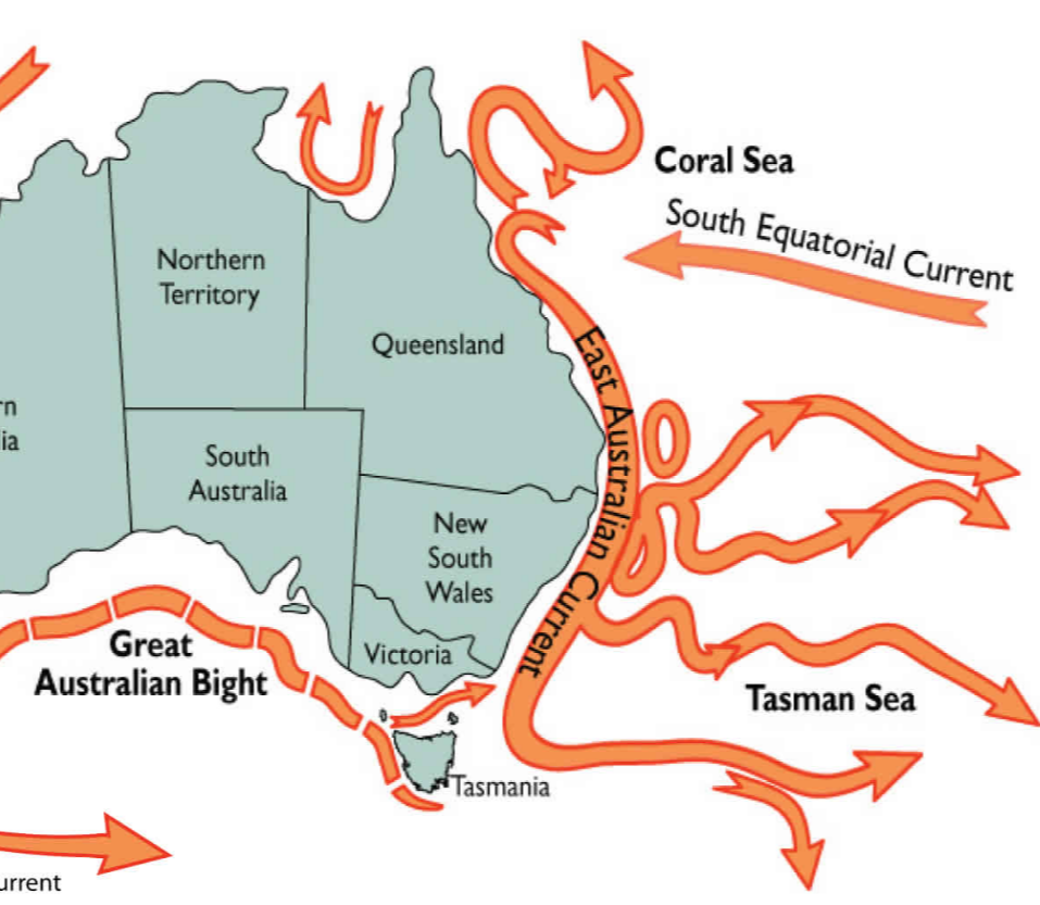 Gold coast currents and weather
