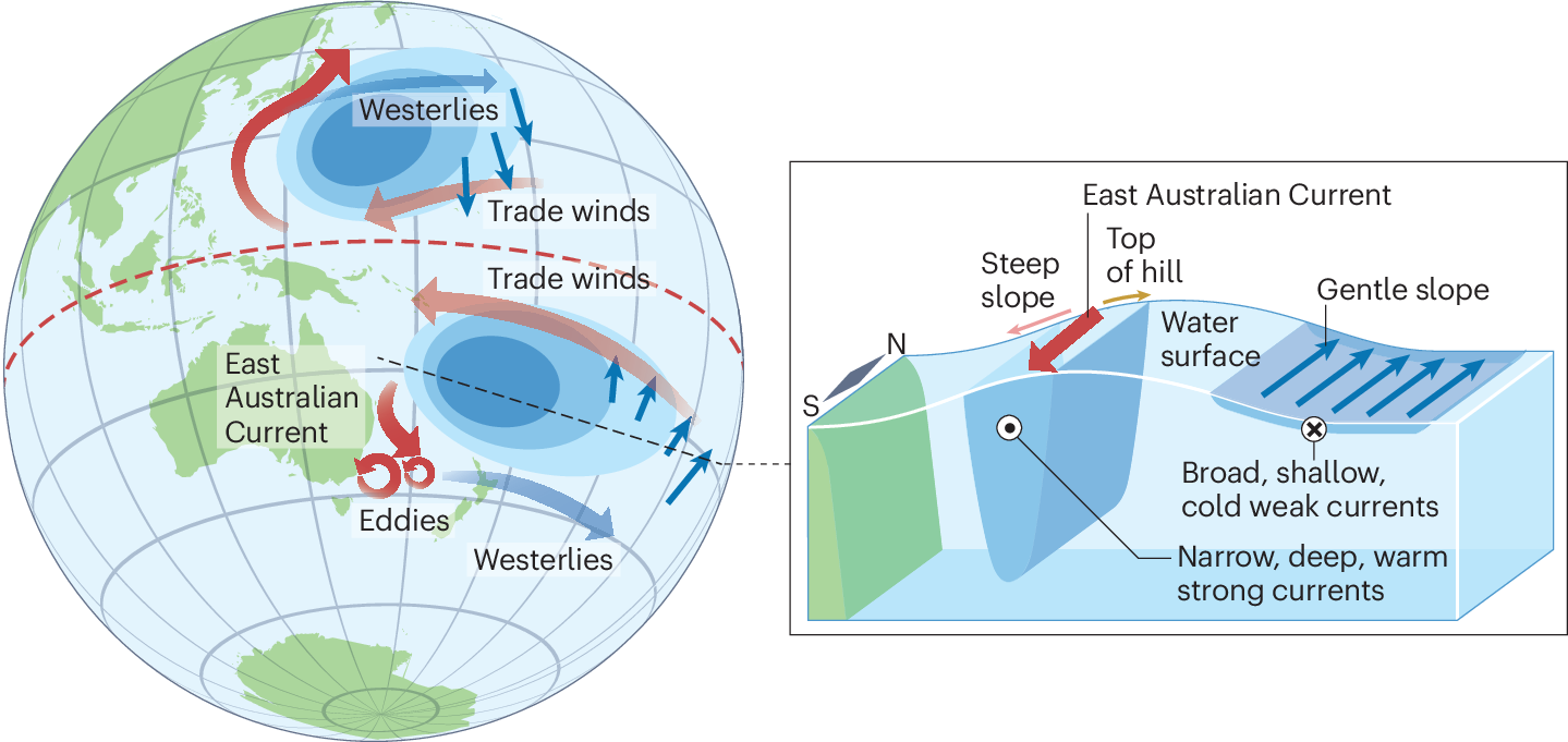 ocean currents