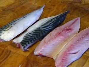 Slimy mackerel fillets