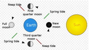 tides