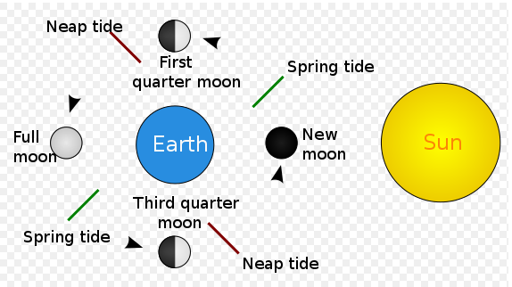 Understanding Tides How They Work & Optimal Times for Fishing