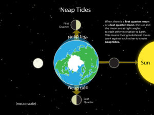 tides australia