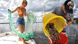 cast netting prawns