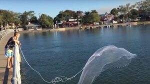 cast netting off a jetty